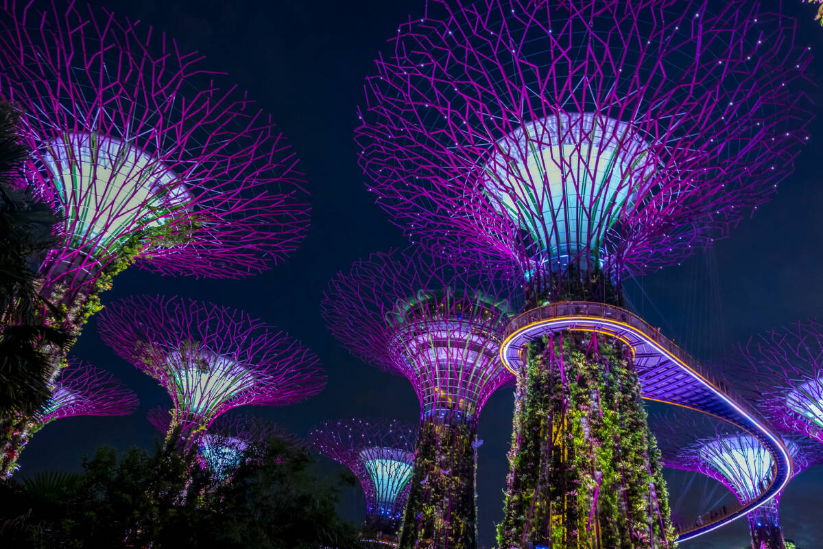 View of Garden by the bay at night in Singapore.